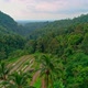 Flight Over Rice Terraces in The Jungle - VideoHive Item for Sale