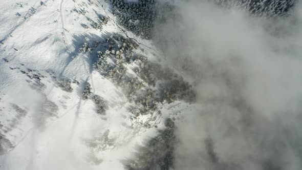 Aerial View of a Forest Covered with Fresh Snow and Clouds in the Aletsch Arena Area. Switzerland in