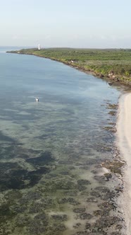Vertical Video Boats in the Ocean Near the Coast of Zanzibar Tanzania alt
