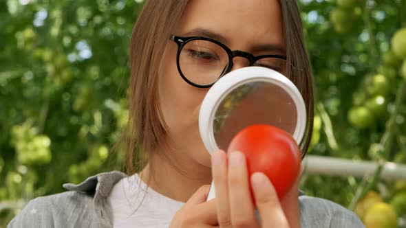 Farming and Cultivations. Portrait of Young Woman Farmer in Tomato Field, Showing Vegetables To the alt