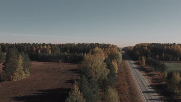 Asphalt road with between forest and green fields in Ural