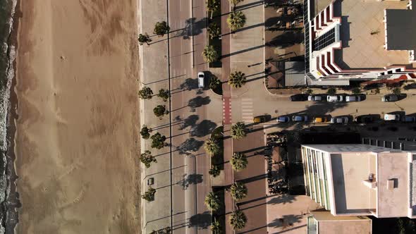 Close Up Top Down View Over Roads with Palm Trees and Few Vehicles alt