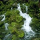 Alpine Brook in Wet Forest After Rain Southern Bavaria Germany