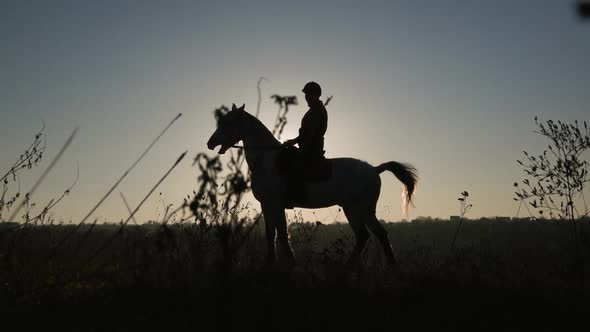Silhouette of a Woman Riding a Horse in the Background Sunset alt