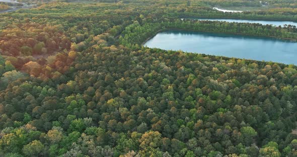 Landscape Panorama Blue Water in a Forest Lake with Trees alt