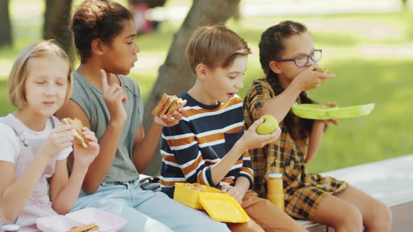 Diverse Boys and Girls Having Lunch Outdoors in Park alt