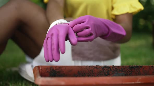 Unrecognizable African American Young Woman Putting on Gardening Gloves in Slow Motion Sitting on alt