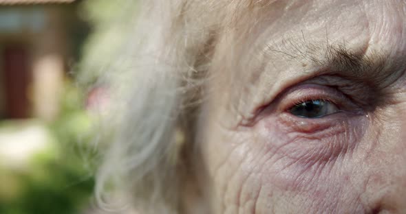 an Old Woman with a Multitude of Winces Looks Towards the Camera Anxiously in Her Eyes