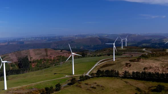 Wind farm with roads running through windmills, power lines over cattle grazing in the mountains, su alt