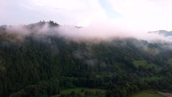 Forest On Hill Covered In Beautiful Clouds, Aerial View