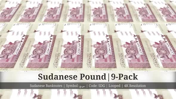 Sudanese Pound | Sudan Currency - 9 Pack | 4K Resolution | Looped alt