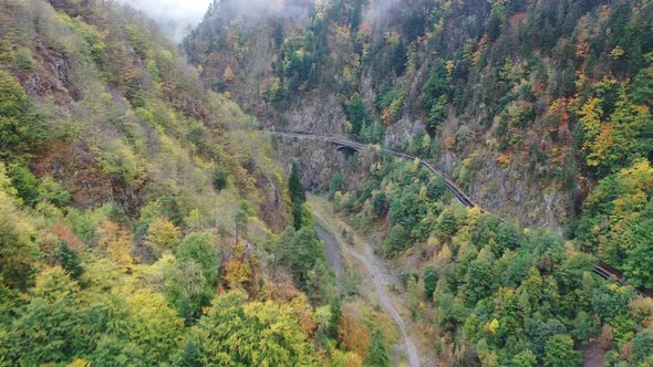 Foggy mountain forest aerial 1