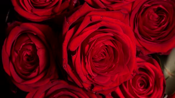 Gentle colourful bouquet of red roses on turn table, close-up