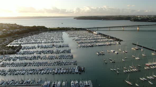 Viaduct Harbour, Auckland New Zealand alt