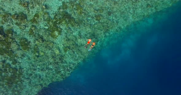 Aerial drone view of a man and woman couple snorkeling over the coral reef of a tropical island alt