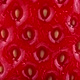 Macro Texture of Real Red Ripe Strawberry Rotating - VideoHive Item for Sale