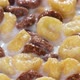 Breakfast Chocolate Corn Cereal in a Bowl with Milk - VideoHive Item for Sale