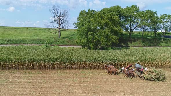 Aerial Side View of Amish Harvesting There Corn Using Six Horses and Three Men alt