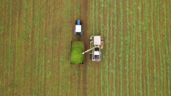 Slow Motion Aerial Shot of Modern Harvester Loading Off Barley on Tractor Trailers alt