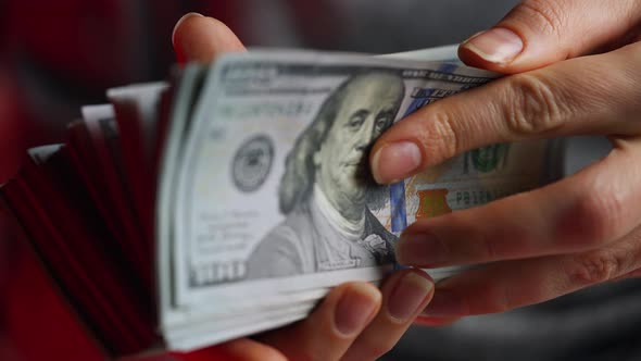 Hands Checks US Dollar Bills or Counting in Cash Against the Backdrop of Police Car Lights alt