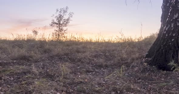Meadow Timelapse at the Summer or Autumn Time alt