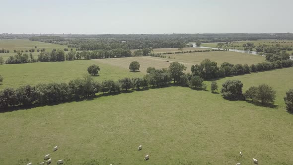 Countryside. Agriculture on a Farm Field 4K