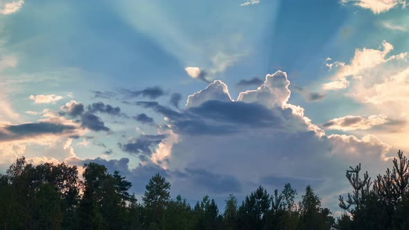 Sunny summer day landscape in woods with dramatic clouds flowing fast on sky