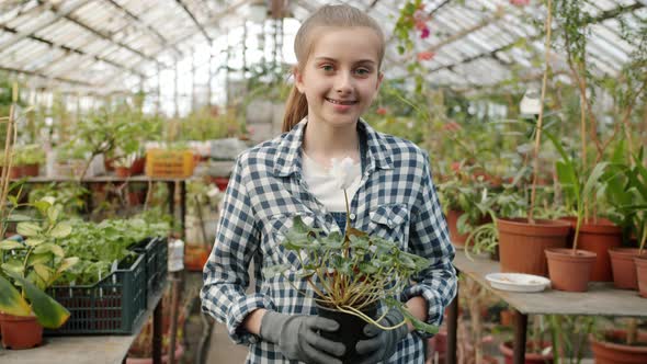 Portrait of Girl Standing Inside Greenhouse Holding Pot Plant Smiling and Looking at Camera alt