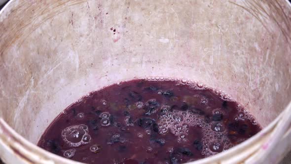 Crushed Grape Grape Juice Raw for Homemade Wine Grape Harvesting