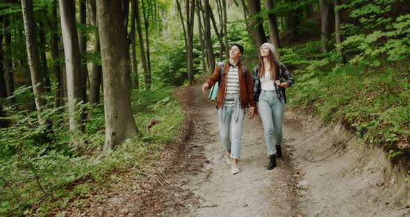 Couple of Hikers Walking in Forest Path