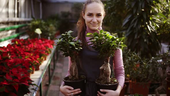 Young Female Florist with Ponytail in Apron Walking Among Rows of Flowers in Flower Shop or alt
