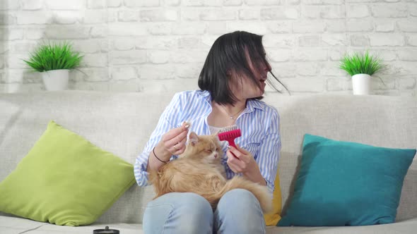 Young Woman Combs a Cat's Long Fur and Sneezes From an Allergy To Wool alt