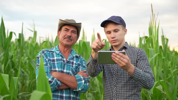 Two Farmers Stand in Corn Field Discuss Harvest Crops alt