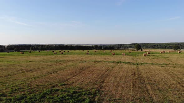 4 Field With Hay Rolls