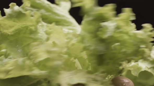 Shaking wet lettuce leaves alt