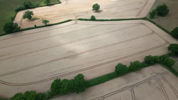 An aerial view of Wheat fields ready for harvest on land in Worcestershire, England. alt