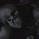 Skulls Background Vhs - VideoHive Item for Sale