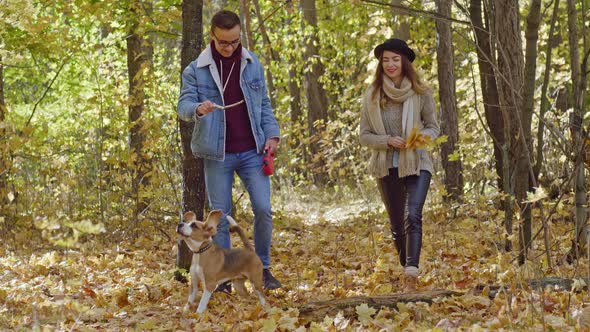 Young Couple going for a walk with jumping dog alt