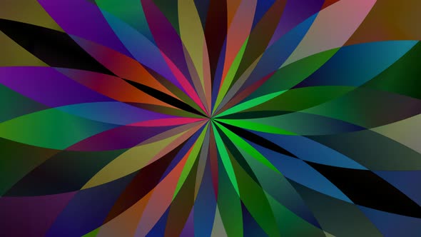 Colorful Flower Pattern Animated Background