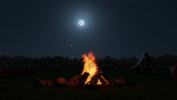 Big Bonfire In Front Of Forest And Moonlight
