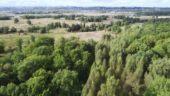 Flight Over the Forests Against the Background of the City Aerial Photography From a Quadcopter