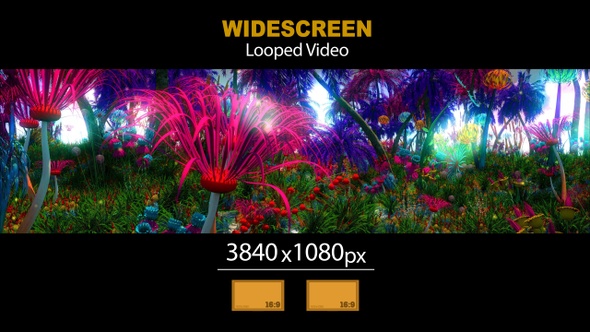 Widescreen Exotic Forest 01