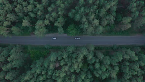  Car Driving on Country Road in Forest in the Evening at Twilight