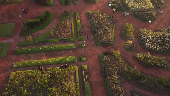 Couple walking by Rosedal of Palermo in Buenos Aires at sunset. Top down view. Aerial 4K alt
