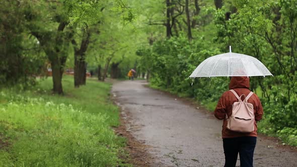 Woman with Transparent Umbrella in the Rain in a City Green Park