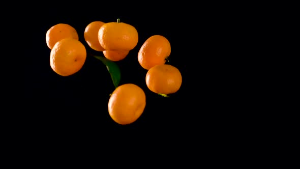 Orange Mandarin Flies Up And Down 