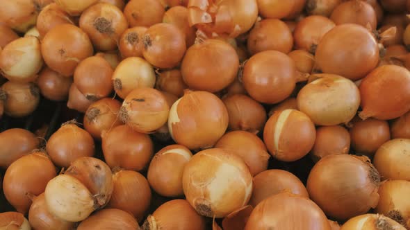 Dry Onion on Market Store Shelf