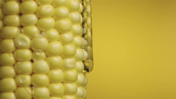 Drop of Thick Viscous Honey or Oil Flows Down Rows of Ripe Yellow Corn alt