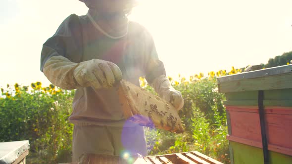 Small Business and Organic Food Production Concept alt