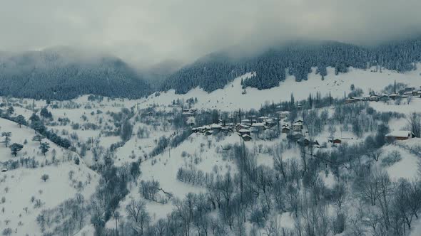 Winter Snow Tree Village